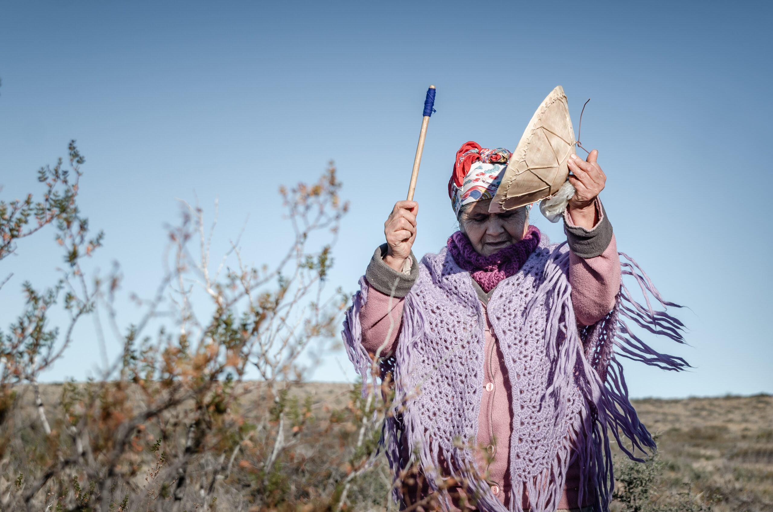 kitiblumenkranc's tweet card. Crónica de un Trawün (encuentro) que tuvo como tarea compartir el conocimiento de la medicina ancestral mapuche. Porque las plantas son como las personas, se hallan estando juntas.