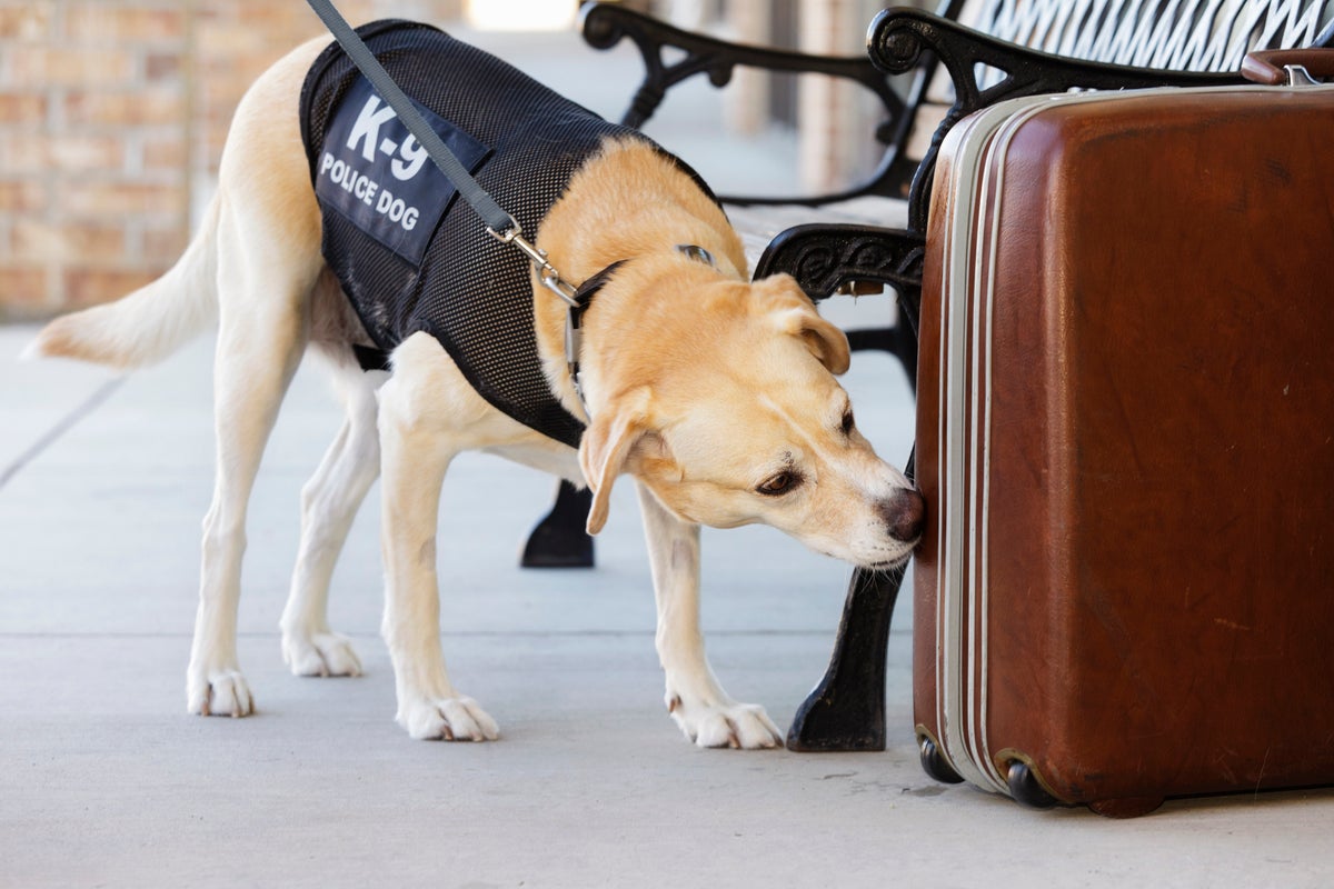 farrarpjoy's tweet card. James Clapper, a former Director of National Intelligence under the Obama administration, was informed by the nonprofit dog-training group that his name had been taken off the list one day before the...