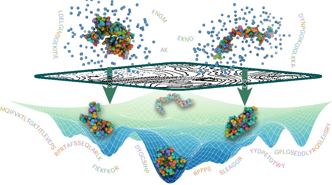 CecClementi's tweet card. Nature Chemistry - The development of a universal protein coarse-grained model has been a long-standing challenge. A coarse-grained model with chemical transferability has now been developed by...