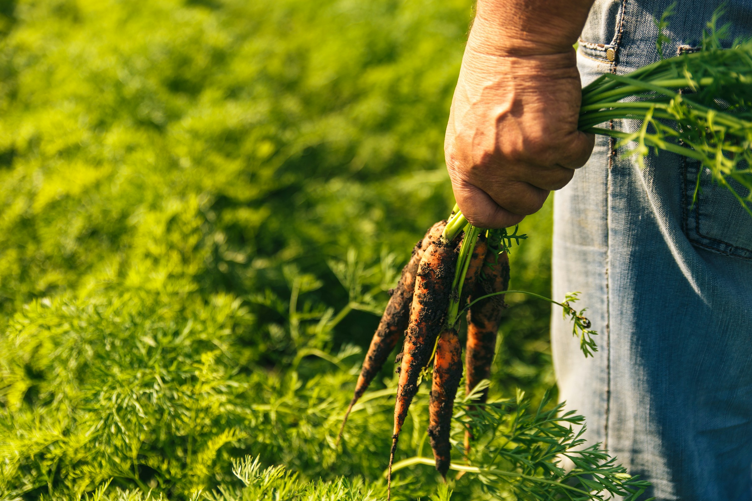 careygillam's tweet card. By Shannon Kelleher Major food corporations are failing to effectively support farming practices that protect human and environmental health, according to an assessment of 20 companies released...