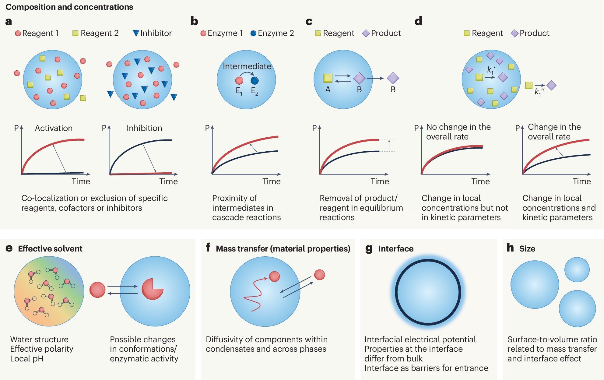 ShorterLab's tweet card. Nature Chemical Engineering - Open compartments, termed biomolecular condensates, are involved in cellular reactions. This Comment highlights their ability to enhance robustness and control of...