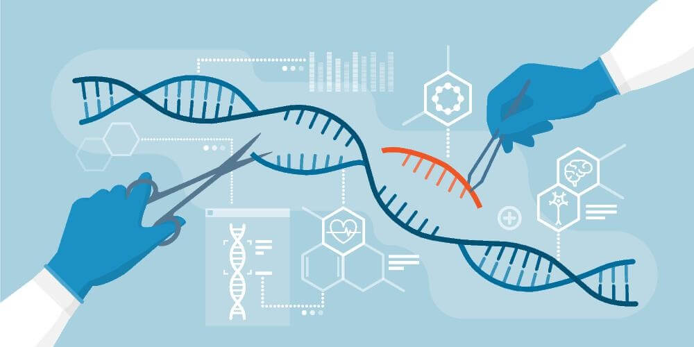 DanaFarber's tweet card. Published: June 10, 2025Updated: June 11, 2025Written by: Beth DoughertyThere are two ways to fix things: the quick way and the careful one. In cancer, cells with BRCA1 mutations tend to choose the...