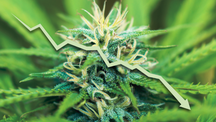 NORML's tweet card. 87% say marijuana ought to be legal for medical or adult use
