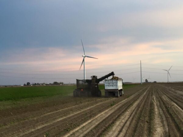 BRNAgNews_NH's tweet card. The U.S. Department of Agriculture says it will not allow additional specialty sugar imports into the U.S. during the next fiscal year. The Foreign Agricultural Service this week announced the annual...