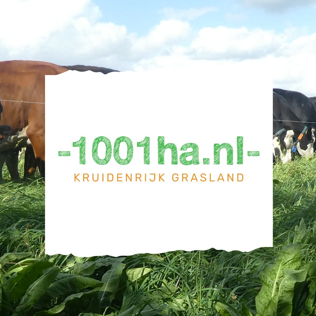 HermansHoning's tweet card. Crowdfundingsactie voor melkveehouders die willen experimenteren met kruidenrijk grasland. Goed voor koe, biodiversiteit en klimaat.