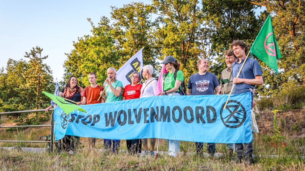 Leenderbos2015's tweet card. Zo'n tien demonstranten van Extinction Rebellion protesteren vanavond tegen het afschieten van de wolf. Dat doen ze aan de Doornseweg bij natuurgebied Den Treek.