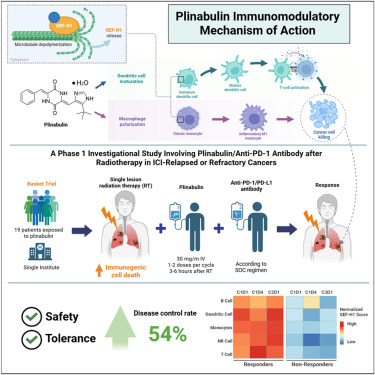 MedCellPress's tweet card. This phase 1 translational study of plinabulin plus anti-PD-1 antibody after radiation therapy in immune checkpoint inhibitor-relapsed/refractory cancers showed good tolerability and encouraging...