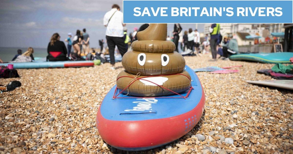 DavidParsley50's tweet card. There have also been more than 1,000 sewage spills around all UK beaches over the past few days as Britons head to the sea this weekend to enjoy the hot weather