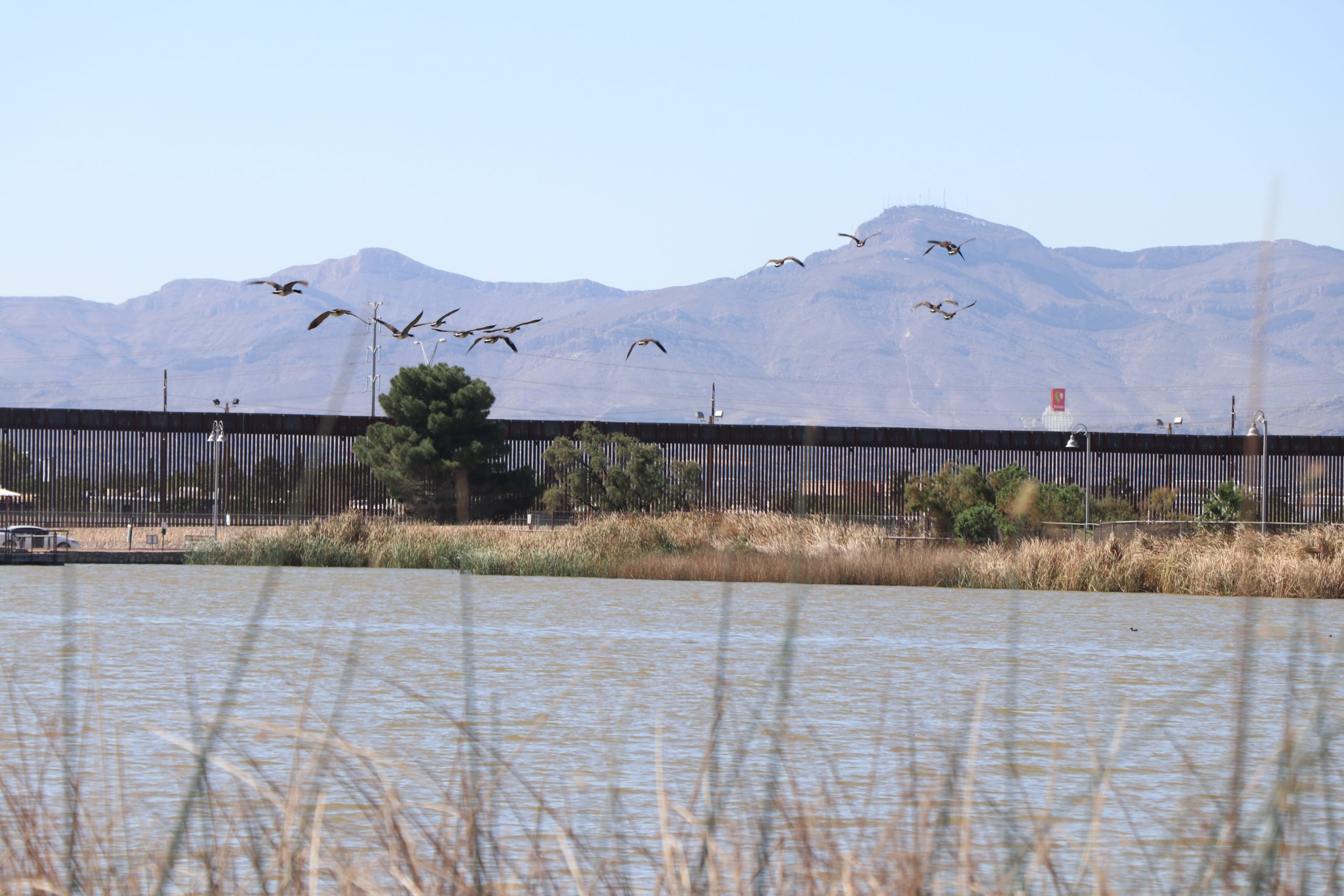elpasomatters's tweet card. Anglers who frequent Ascarate Lake said dredging and deepening it would make for better fishing and a healthier aquatic ecosystem. Studies found it would cost much more than expected to do so.