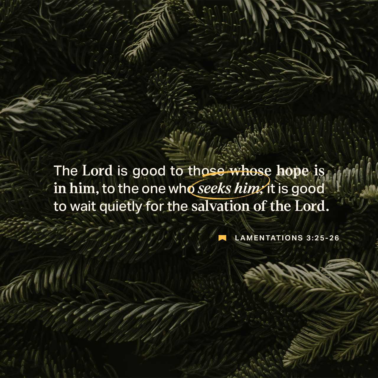 timgriffinark's tweet card. The LORD is good to those who wait for him, to the soul who seeks him. It is good that one should wait quietly for the salvation of the LORD.