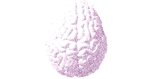 _TheTransmitter's tweet card. The removal counteracts the goals of the longitudinal study by “pretending that some aspects of adolescent brain development don’t exist,” says sex differences researcher Nicola Grissom.
