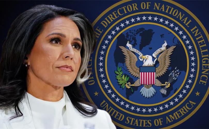 LifeSite's tweet card. Tulsi Gabbard released documents that 'detail a treasonous conspiracy by officials at the highest levels of the Obama White House to subvert the will of the American people.'