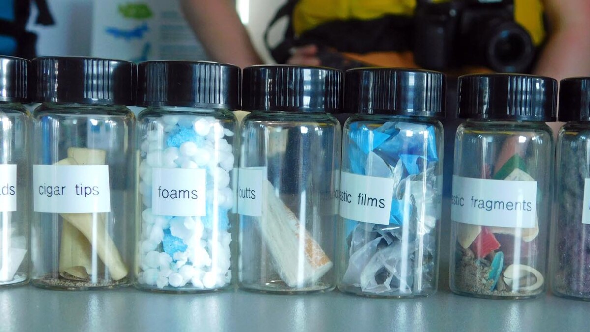 PlasticsBeyond's tweet card. Lake Champlain scientists are researching how much marine debris and microplastic pollution are in the lake.