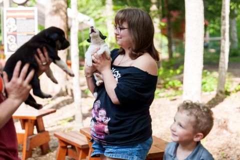BridgeMichigan's tweet card. Long-distance musher Laura Neese opened MI Dog: Michigan’s summer sled dog center to showcase the sport and make money in the off-season.  