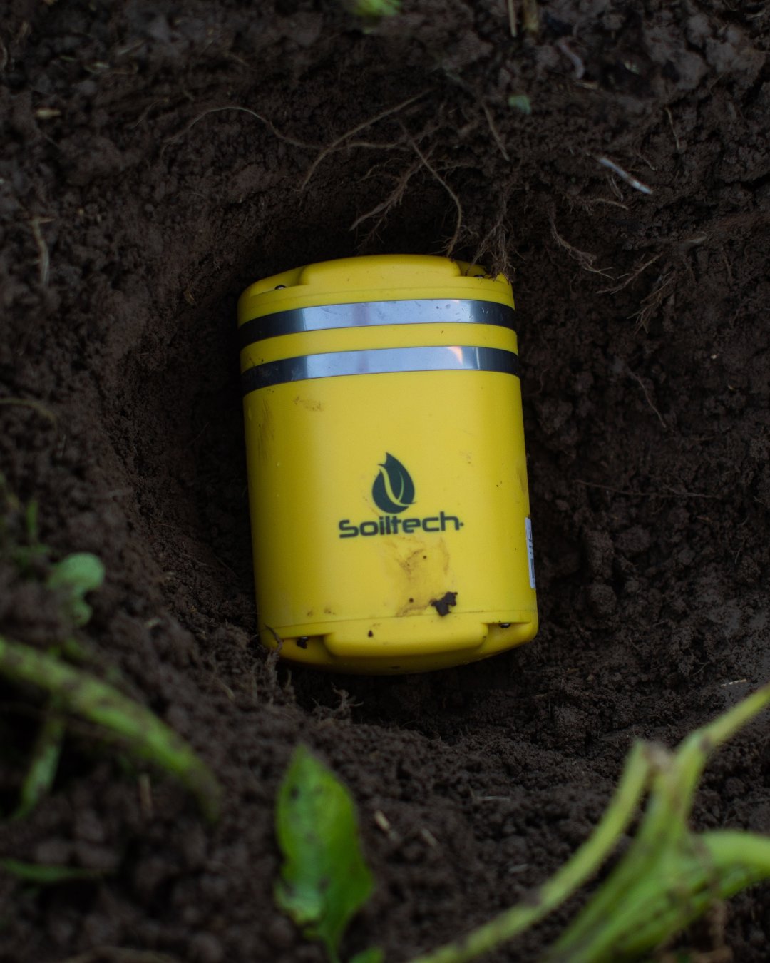 SoiltechW's tweet card. Soiltech can help growers avoid common record-keeping mistakes.