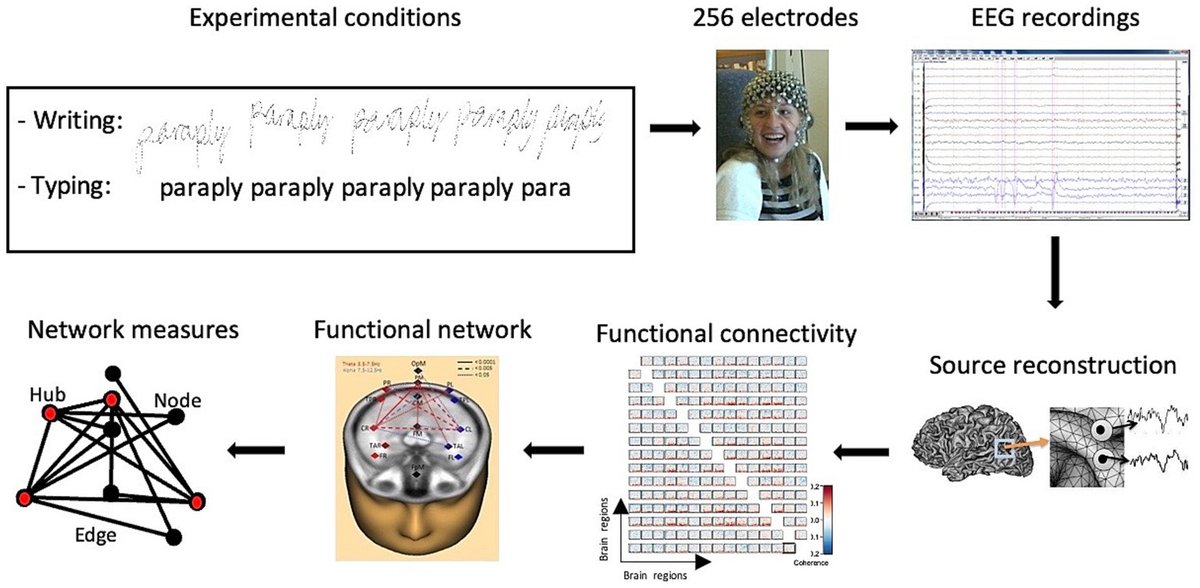 andybliu's tweet card. As traditional handwriting is progressively being replaced by digital devices, it is essential to investigate the implications for the human brain. Brain ele...