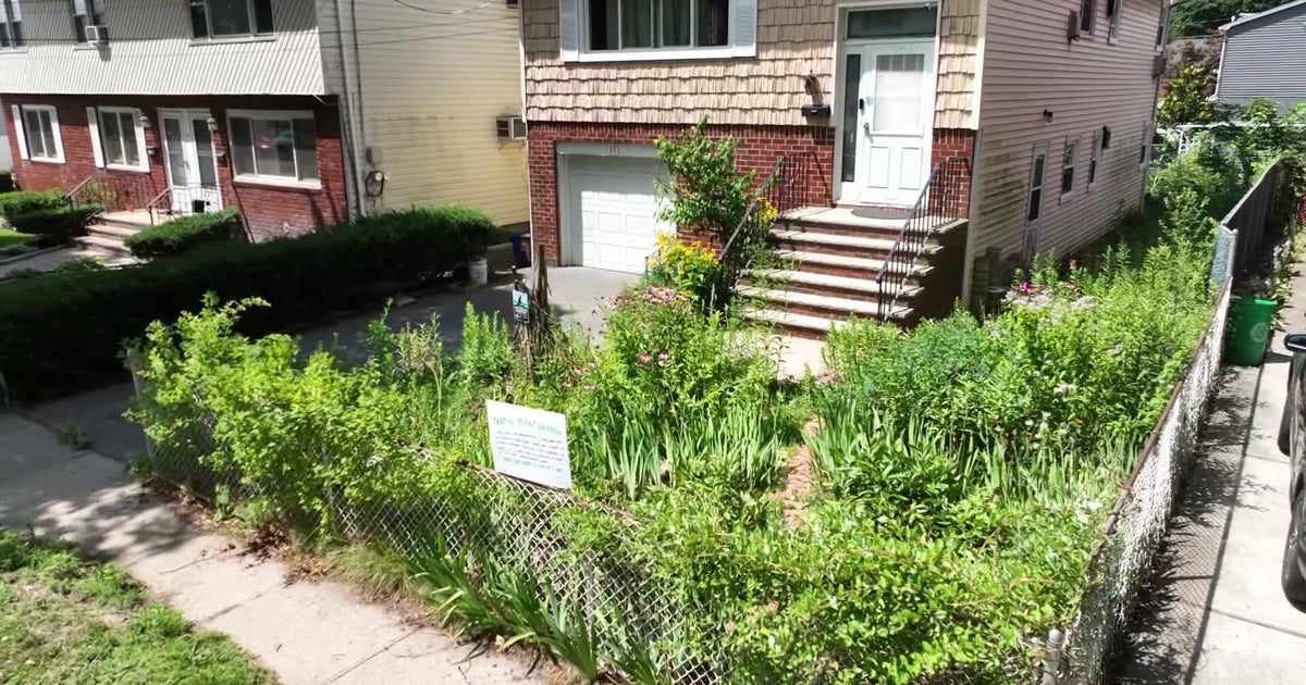 tonysoares's tweet card. A Long Island woman who replaced her front lawn with native plants was issued a fine because officials said it was ugly and violated the village's code.