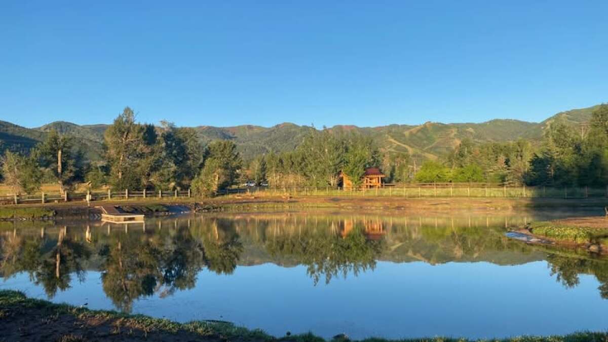 KPCWRadio's tweet card. Basin Recreation staff say they are contending with vandalism and trespassing after closing the Willow Creek Park pond to protect wildlife.
