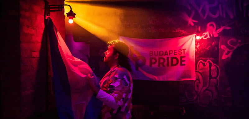 dielinke_queer's tweet card. Ungarn: Delegationen reisen nach Budapest, um LGBTQ-Demo trotz Verbot zu unterstützen. Ein Gespräch mit Özlem Alev Demirel