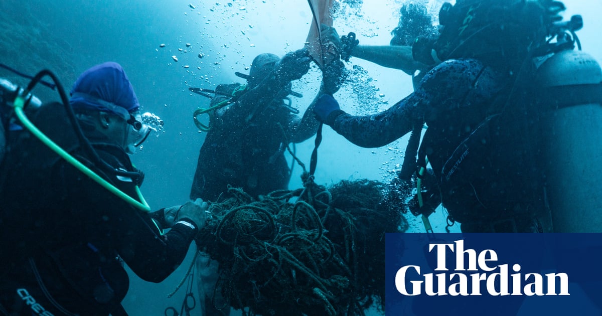 SWTD_Game's tweet card. Abandoned fishing equipment haunts our oceans, killing coral, turtles, sharks and whales. But in Colombia’s Gulf of Tribugá, ‘guardians’ are on call to free entangled marine animals