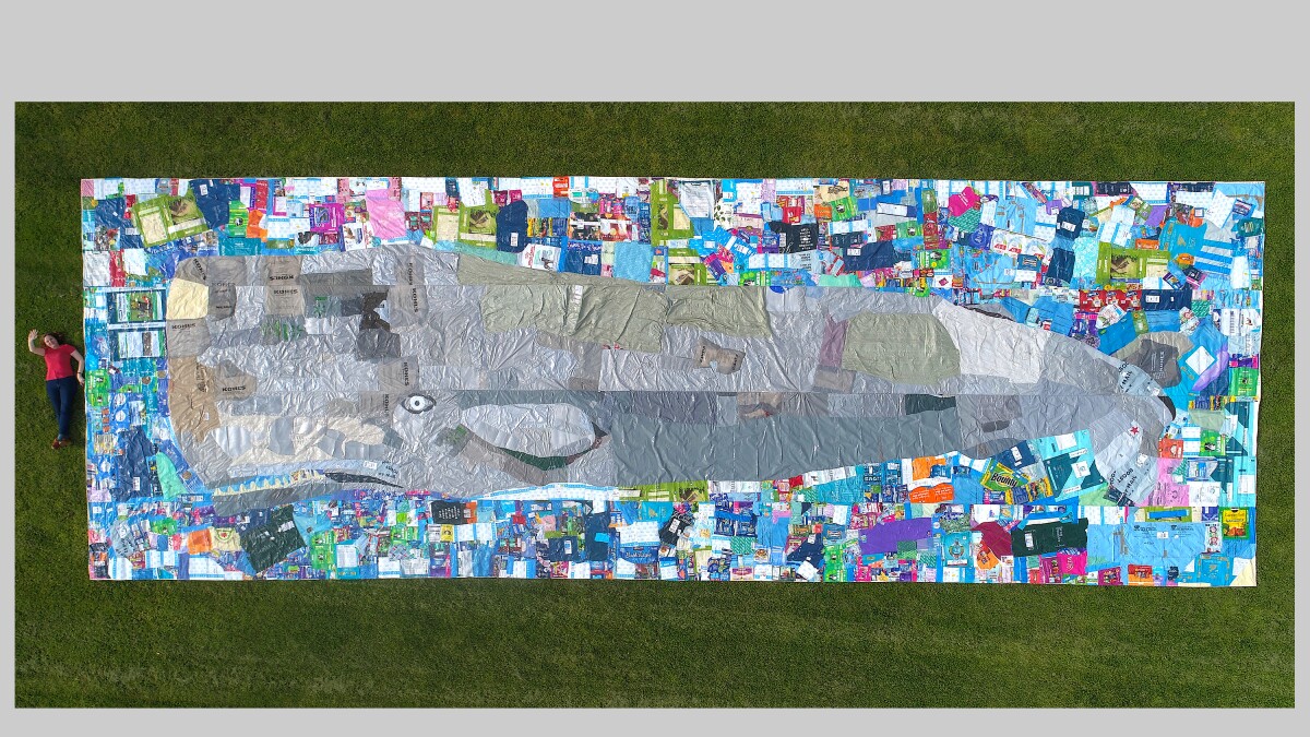 wnpr's tweet card. Photographer Bill Graustein has an exhibit in New Haven and artist Katharine Owens creates life-sized portraits of animals out of plastic packaging.