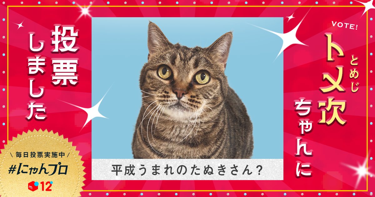 kaokono9010's tweet card. メルカリによる、猫のアンバサダーを決めるオーディション「にゃんバサダーPROJECT」略して「にゃんプロ」の特設サイト。