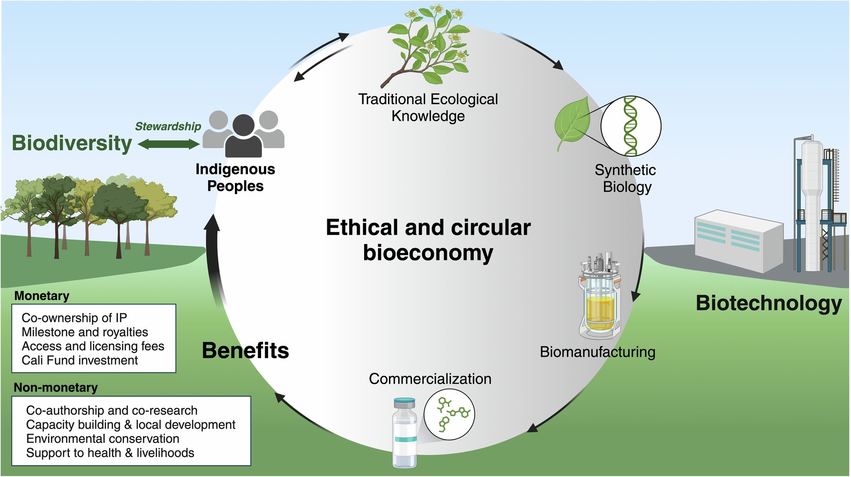 Keasling_Lab's tweet card. Nature Communications - Biotechnology offers a sustainable route to manufacturing, but closing the loop towards safeguarding biodiversity remains challenging. Here, we explore how partnerships with...