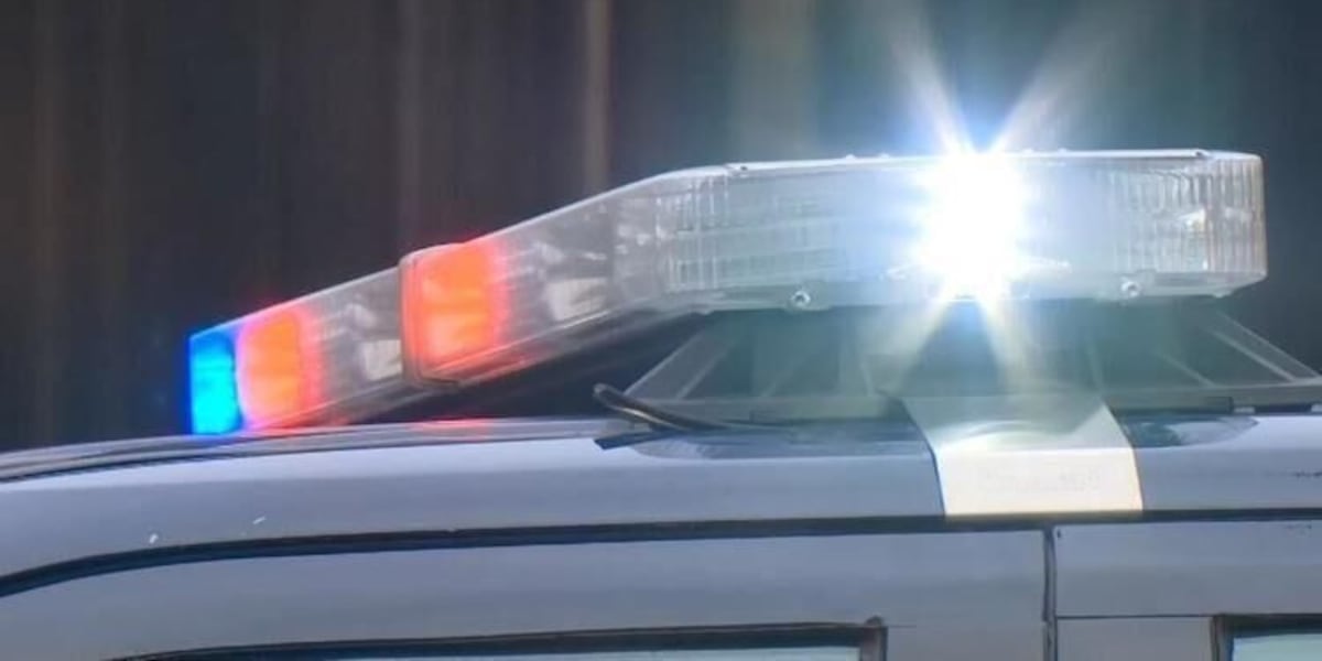 fox12oregon's tweet card. Seven teenagers are facing charges in connection with a fight and stabbing that happened in Keizer early Tuesday morning.
