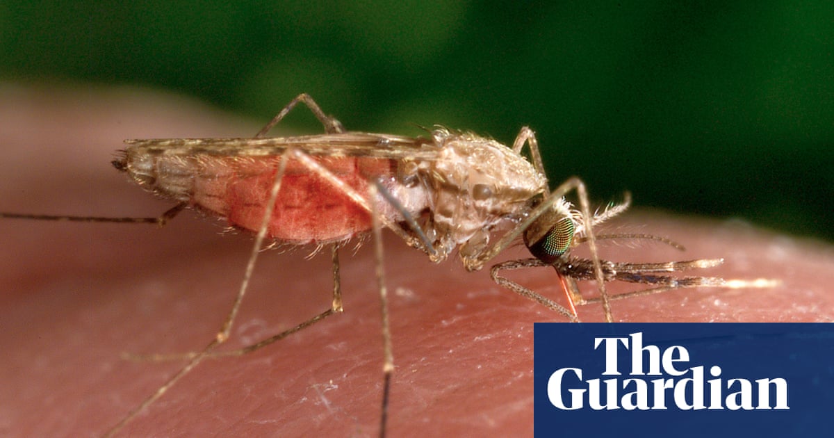 FelisUncia's tweet card. Withdrawal of USAID funds threatens decades of progress, say experts, with cuts to research and shortage of mosquito nets putting thousands at risk across the country