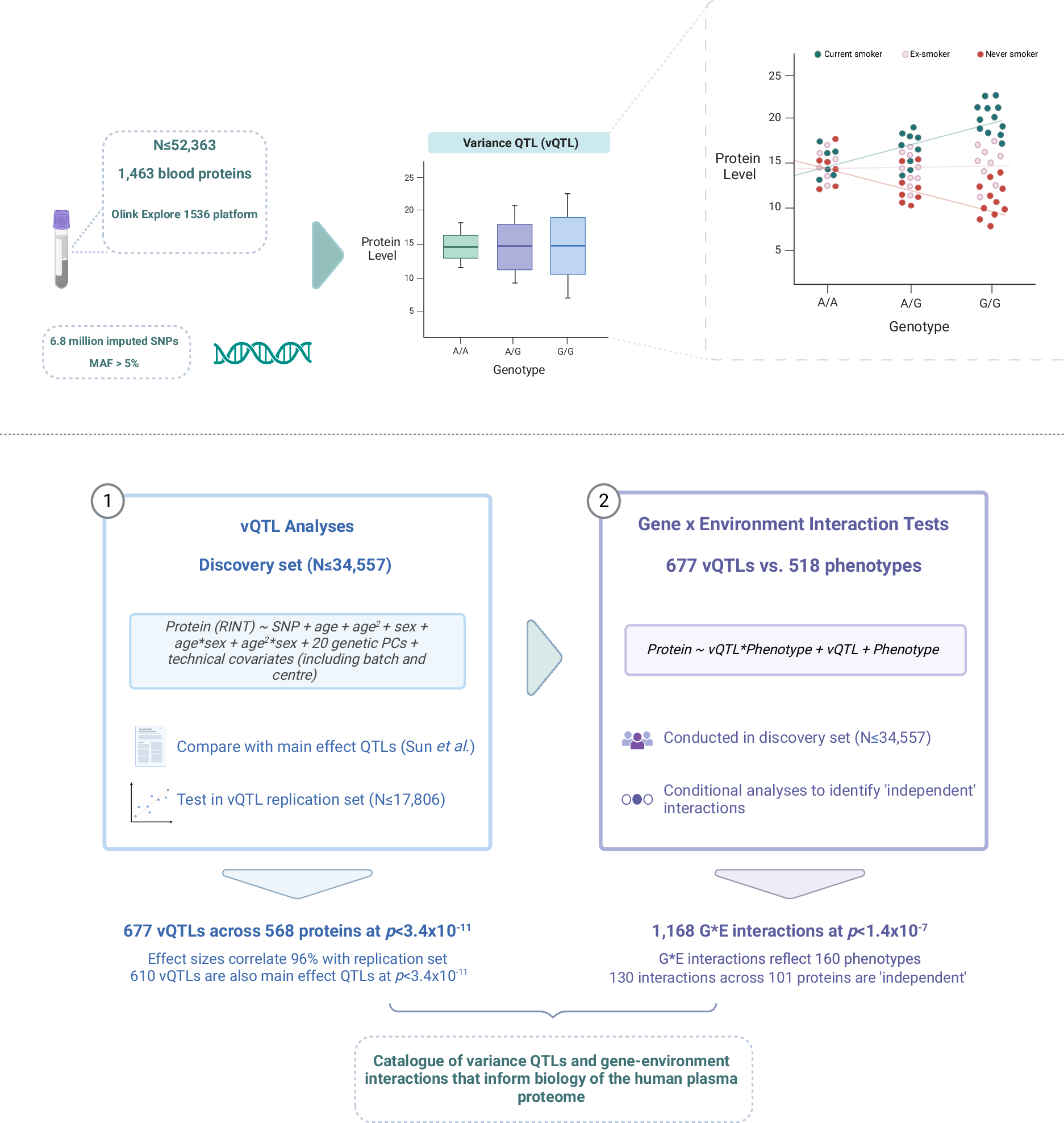 ben_b_sun's tweet card. Nature Communications - Here, the authors integrate genomic, proteomic, and phenotypic data from UK Biobank, identifying over 1,100 gene-environment interactions. They catalogue interactions...