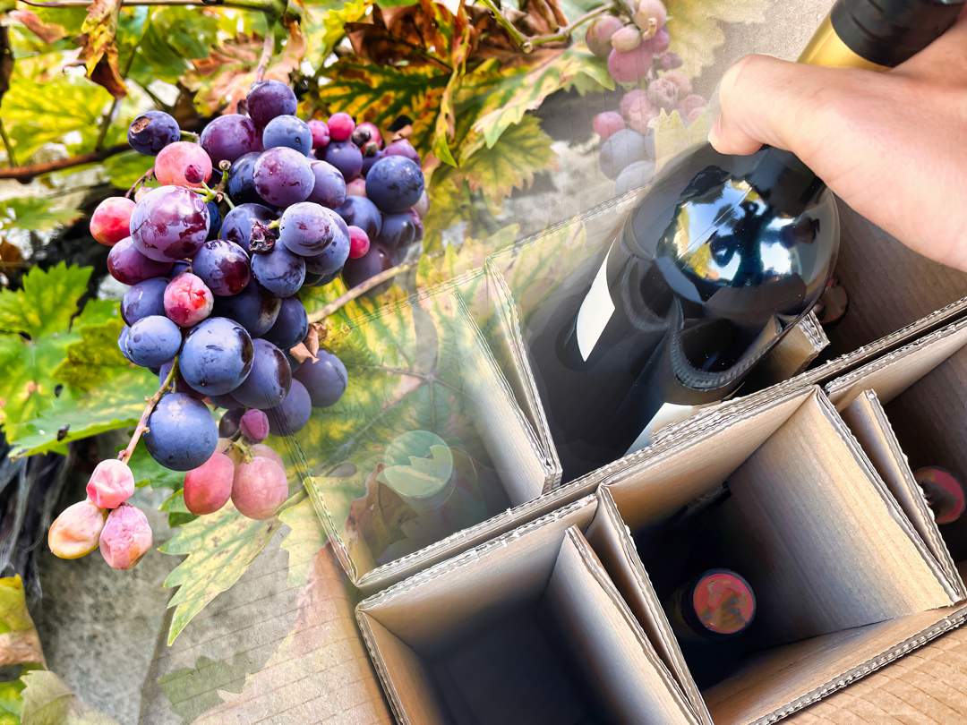 MichaelJordaan's tweet card. The price of a South African bottle of wine could increase by $7 (R125) in the US if the 30% tariff comes into effect, according to South Africa Wine CEO, Rico Basson.