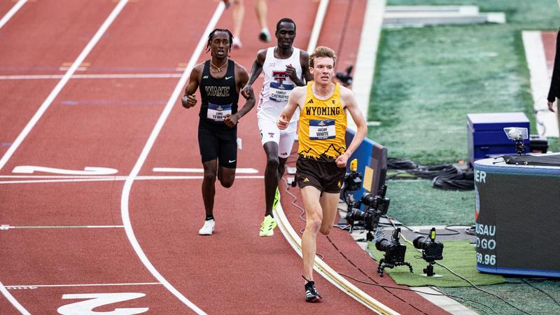 wyo_track's tweet card. EUGENE, Ore. (June 13, 2025) – Senior Jacob White earned his first All-America honor in the 5,000 meters on the final men's day of the NCAA Outdoor National Championships at Hayward Field on Friday.