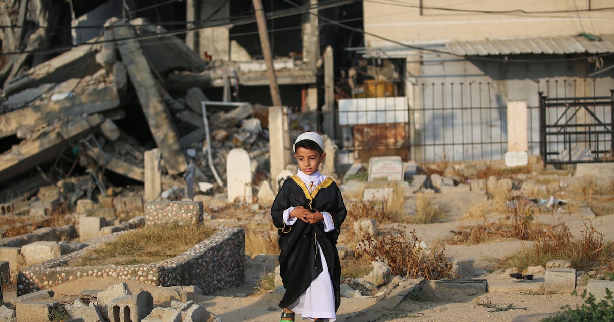 gilbertachcar's tweet card. Genocide in Gaza: Israel’s Long War on Palestine by Avi Shlaim; Catastrophe: Nakba II by Fintan Drury; and The Gaza Catastrophe: The Genocide in World-Historical Perspective by Gilbert Achcar