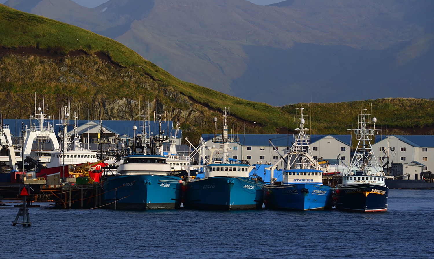 AlaskaBeacon's tweet card. Even with fisheries closures for subsistence, commercial, charter, and sport fishing, trawlers are still allowed bycatch.