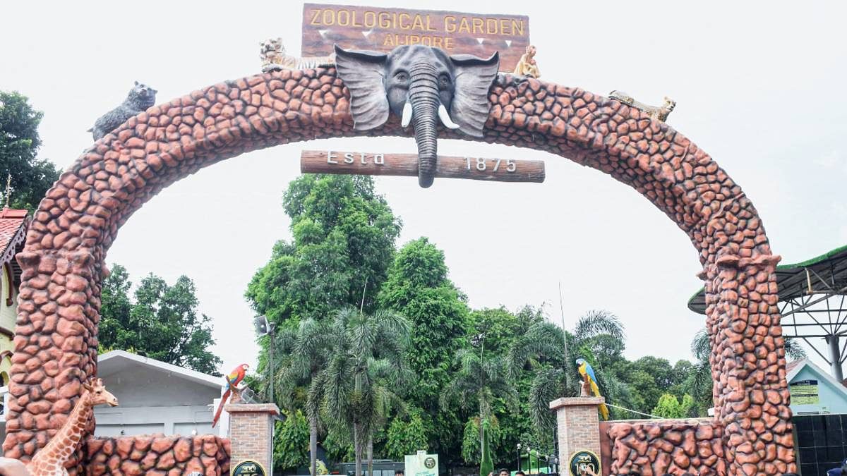 MarcBekoff's tweet card. City-based NGO Swazon has moved the Calcutta High Court alleging 'gross administrative negligence' at the British-era zoo, one of the country's oldest.
