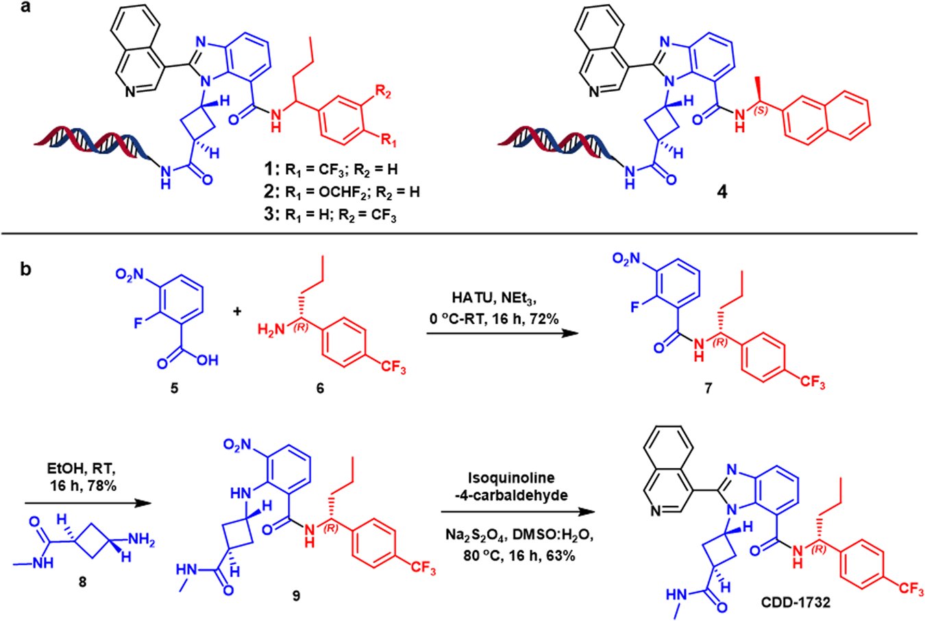 DamianYoung29's tweet card. Communications Chemistry - Conventional structure-based design of Mpro inhibitors of SARS-CoV-2 often starts from the structural information of Mpro and their binders; however, the continual rise...