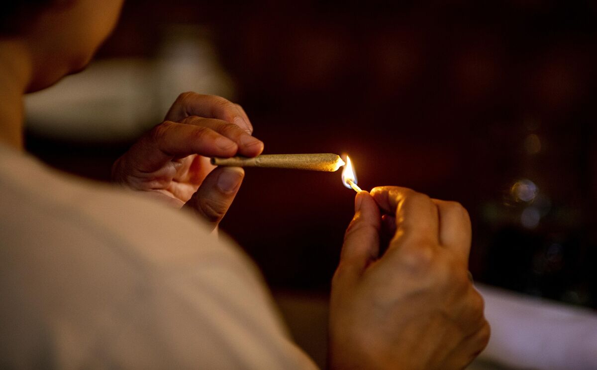 EveryBrainMatt's tweet card. A Harvard addiction scientist and a former government lawyer are urging the US Department of Justice to reject a plan that would ease federal restrictions on cannabis, which the industry has been...