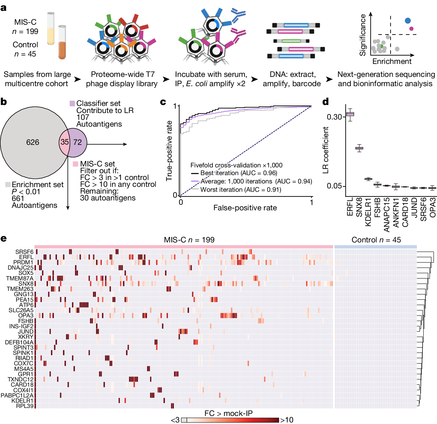 MAndersonUCSF's tweet card. Nature - A cross-reactive antibody and T cell response is identified in a large portion of patients with multisystem inflammatory syndrome in children.