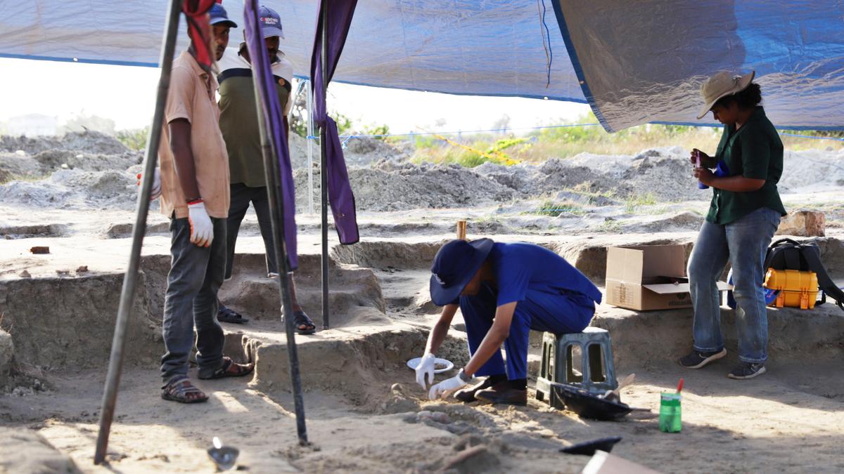 Meerasrini's tweet card. Mass grave in Jaffna tests Sri Lankan government's pledge to address Tamil grievances, sparking hope and skepticism.