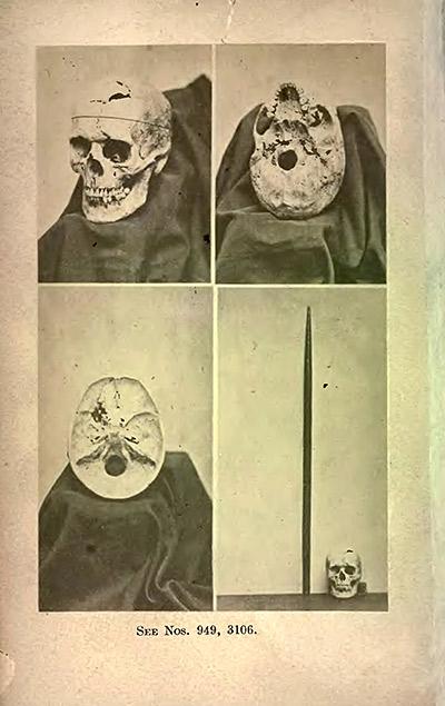luciahp96's tweet card. On Sept. 13, 1848, at around 4:30 p.m., the time of day when the mind might start wandering, a railroad foreman named Phineas Gage filled a drill hole...