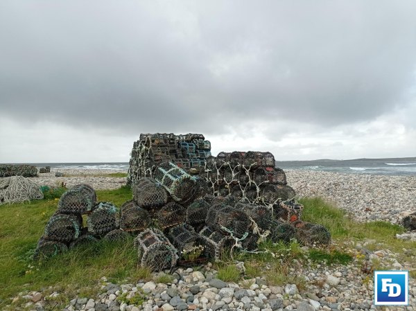 FD_Editor's tweet card. Sinn Féin says revised NDP fails fishing industry, offers no strategic investment for harbours, seafood, or coastal infrastructure