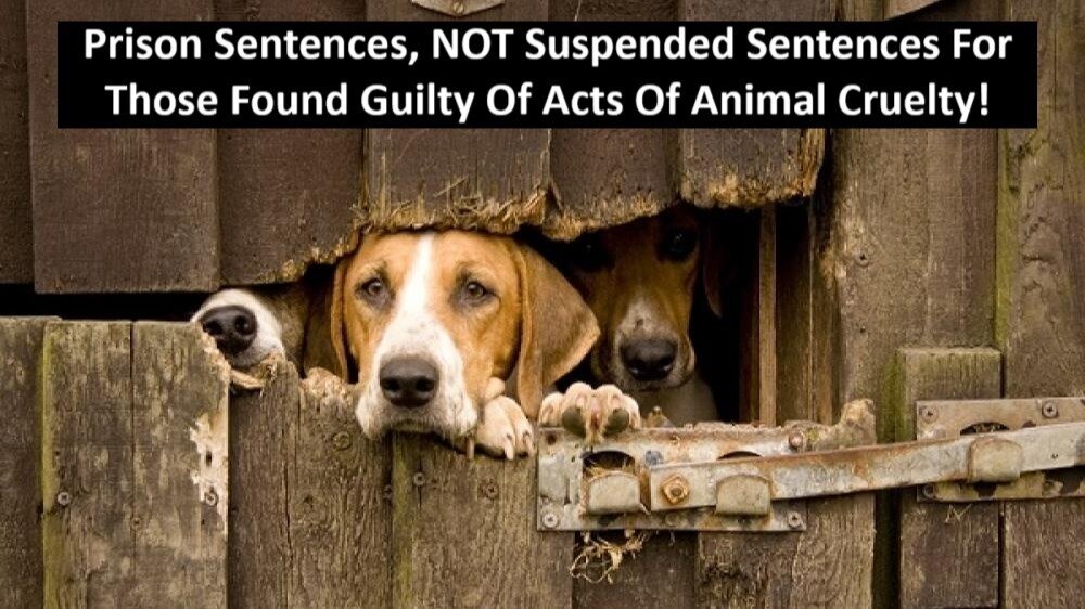 Protect_Wldlife's tweet card. Impose Prison Sentences, NOT Suspended Sentences For ALL Acts Of Animal Cruelty