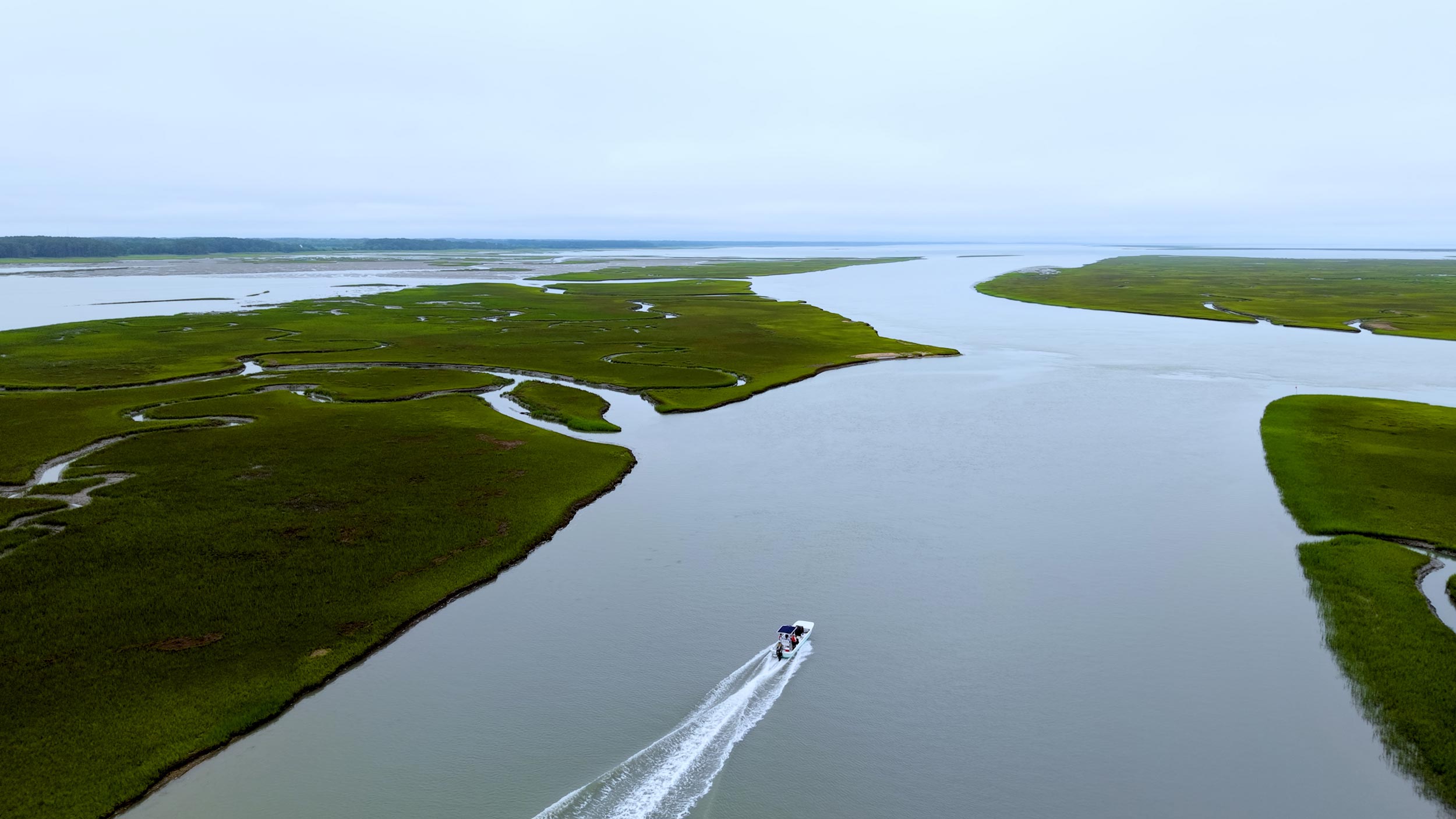 UVA's tweet card. Scientists at UVA’s Coastal Research Center are restoring critical ecosystems – and inspiring the next generation of researchers.