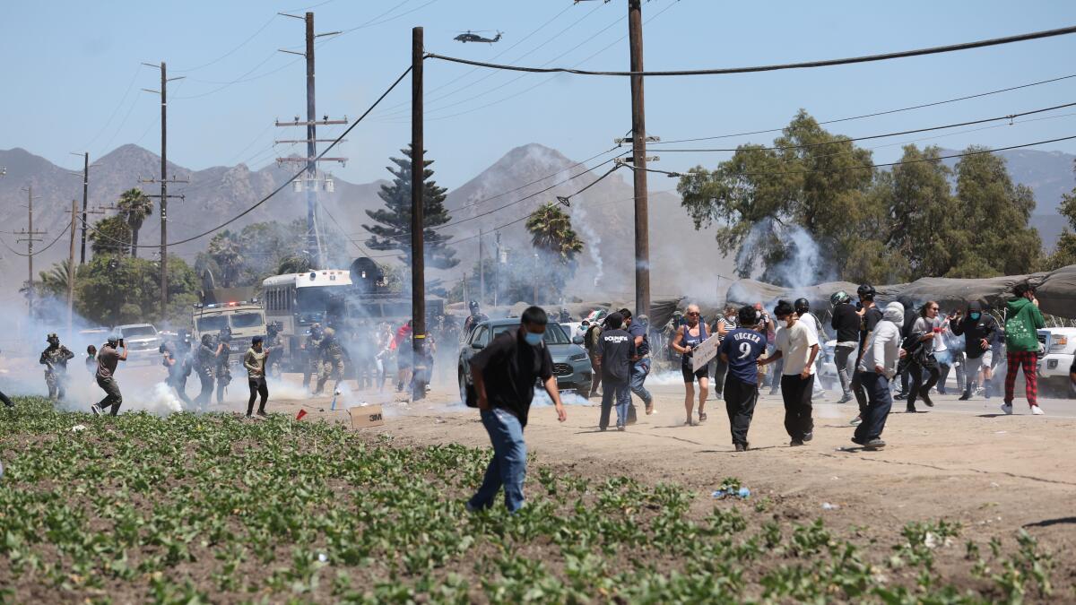 LATvives's tweet card. Protesters blocked the roads in and out of one of the farms, and at one point federal agents drove their vehicles through the fields.