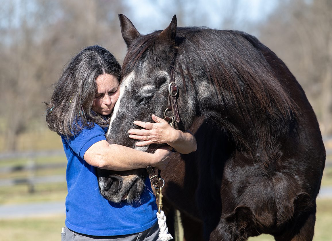 RACEFund's tweet card. New Years Eve (Night Conqueror), believed to be the second-oldest American Thoroughbred on record, has passed away in Pennsylvania. He was 39 and reported to be the oldest living Thoroughbred at the...