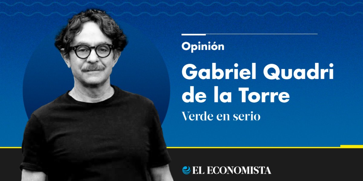 g_quadri's tweet card. Implosión demográfica, la otra bomba