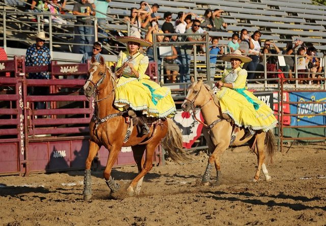turlockjournal's tweet card. The Stanislaus County Fair will end its 2025 run with a bang. There is still time to grab a corn dog, view the hundreds of exhibits submitted by local residents, enjoy a concert or take in the action...