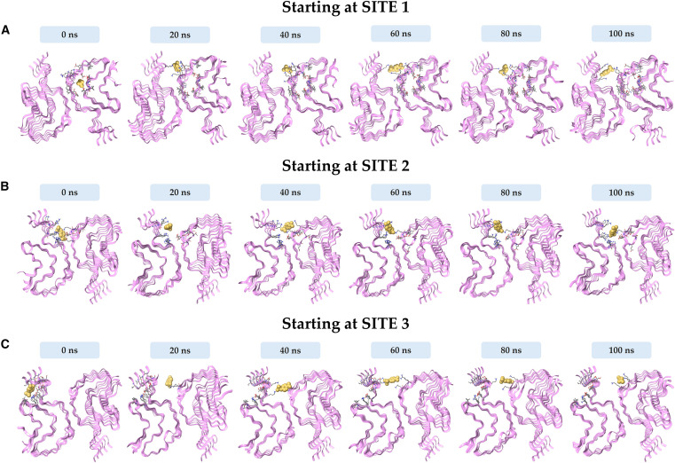 PernillaWittung's tweet card. Pathological amyloids associated with Parkinson and Alzheimer diseases have been shown to catalyze chemical reactions in vitro. To elucidate how small-molecule substrates interact with cross-β...