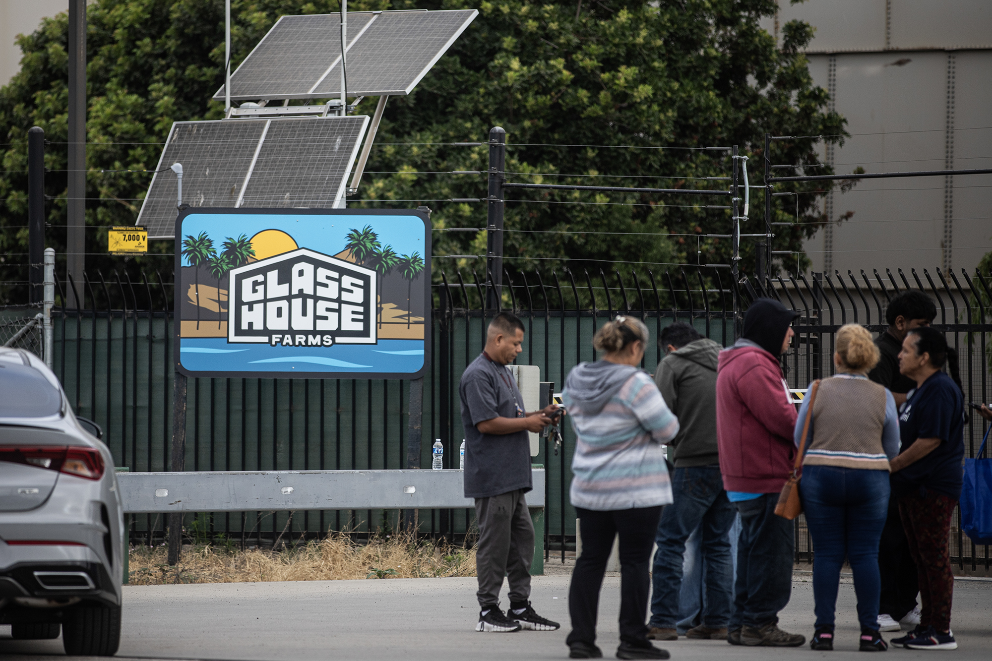 CalMatters's tweet card. Federal agents arrested hundreds of workers after immigration sweeps at a California cannabis company, stoking fears that President Trump might target the marijuana industry.