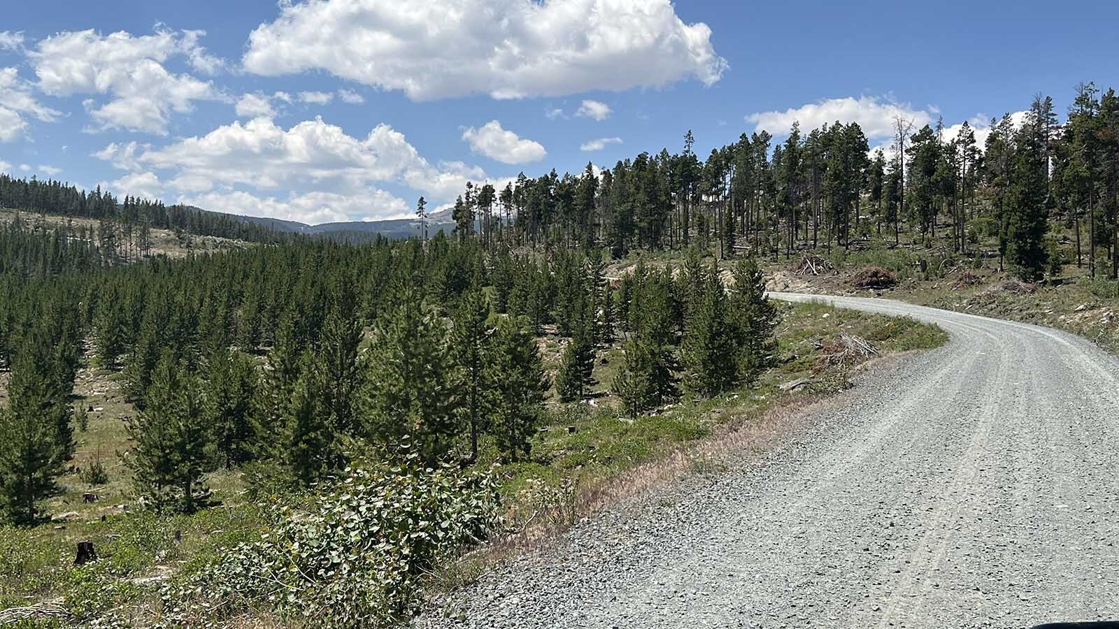 daily_cowboy's tweet card. Just past Sinks Canyon State Park south of Lander is Louis Lake Loop Road. Nearly 100 years old, it leads to some of Wyoming’s most beautiful places, but…